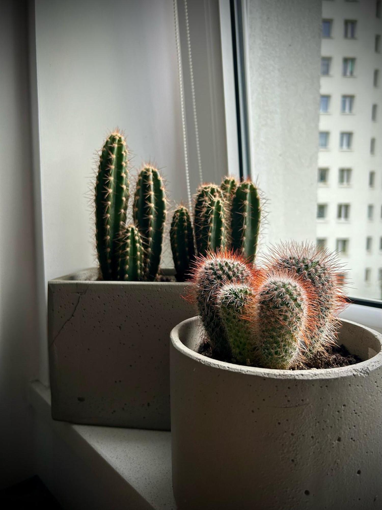 Metro Trocka Apartment 바르샤바 외부 사진